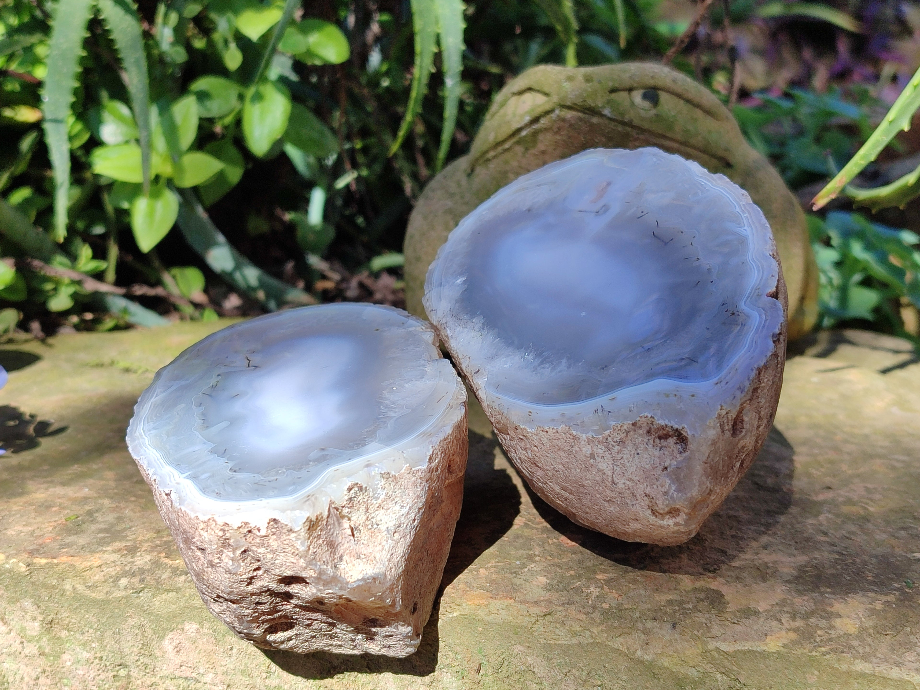 Polished Red Sashe River Agate Pairs x 1 Pair From Zimbabwe - Toprock Gemstones and Minerals 
