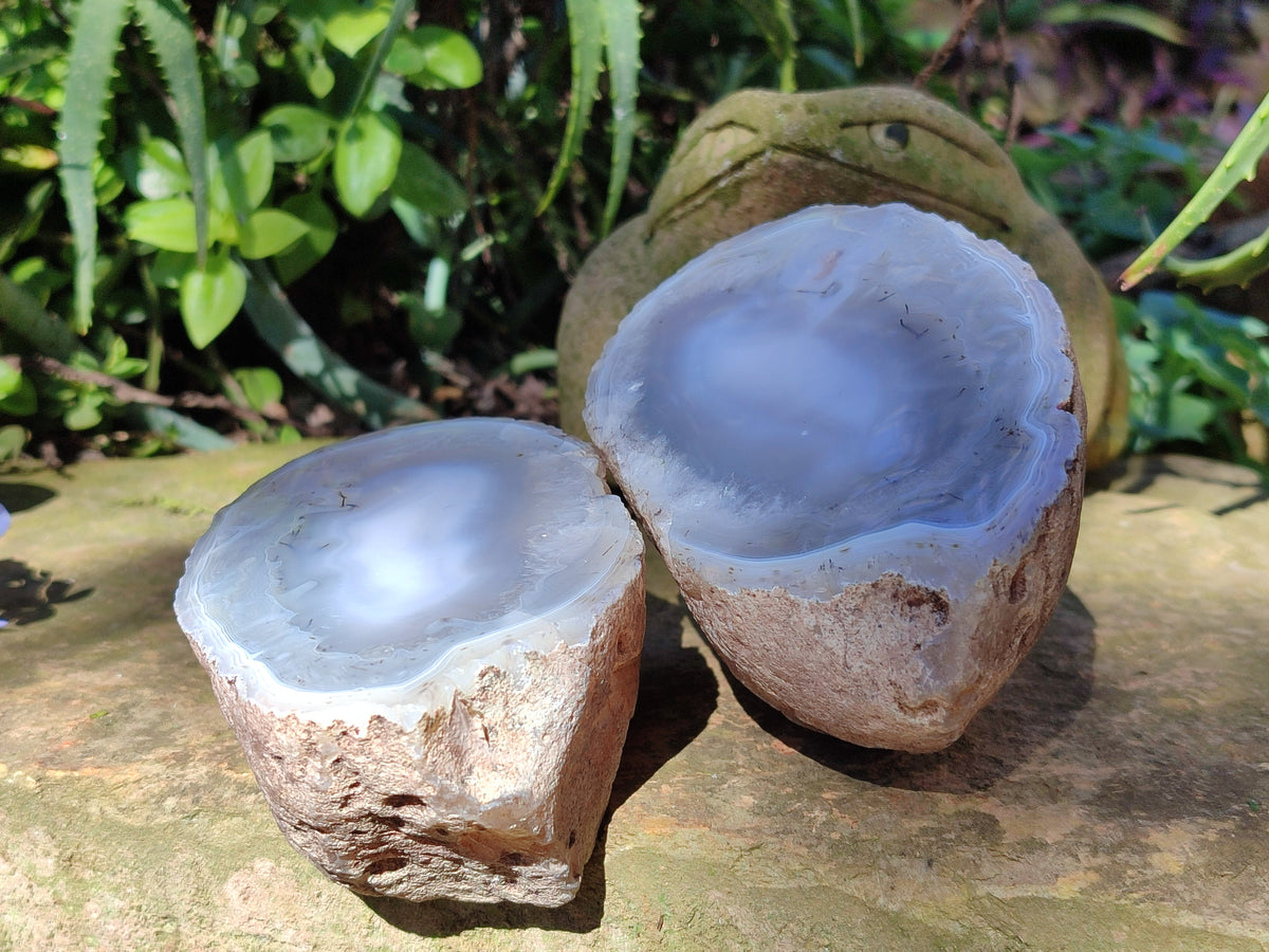 Polished Red Sashe River Agate Pairs x 1 Pair From Zimbabwe - Toprock Gemstones and Minerals 