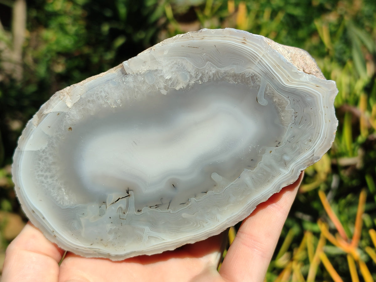 Polished Red Sashe River Agate Pairs x 1 Pair From Zimbabwe - Toprock Gemstones and Minerals 