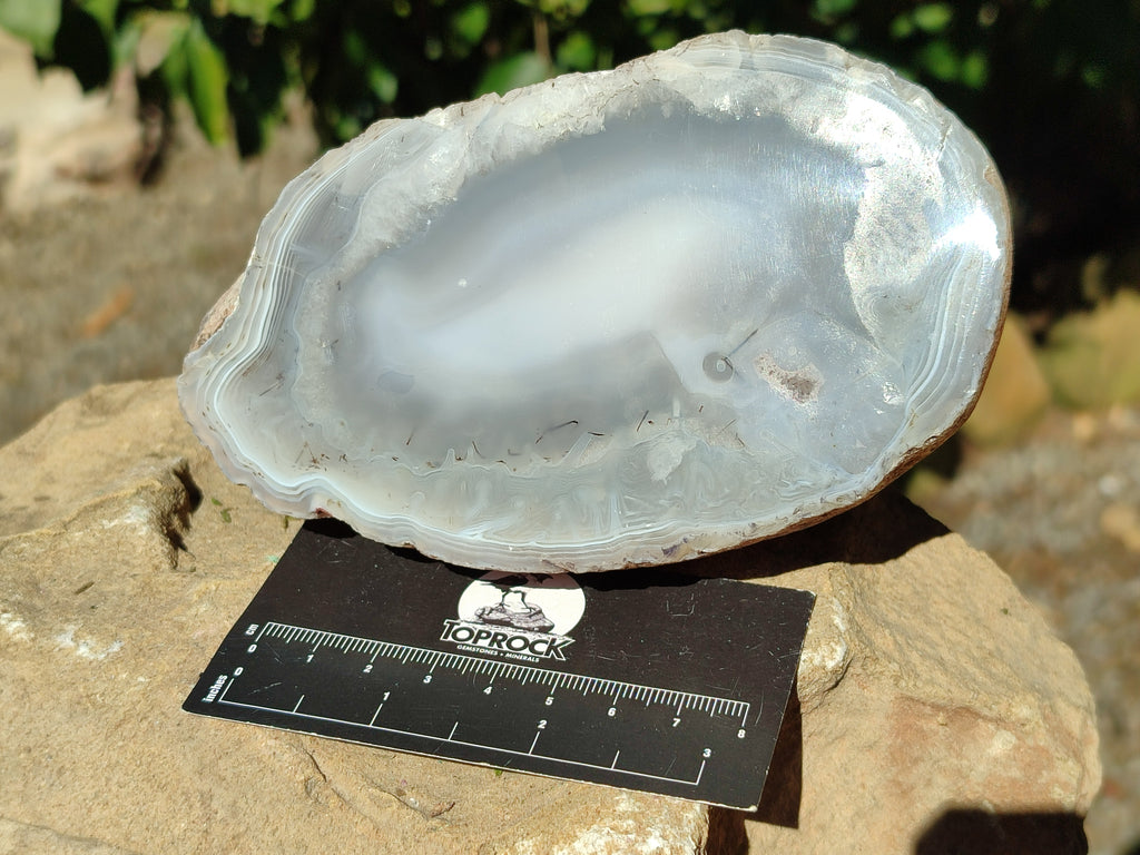 Polished Red Sashe River Agate Pairs x 1 Pair From Zimbabwe - Toprock Gemstones and Minerals 