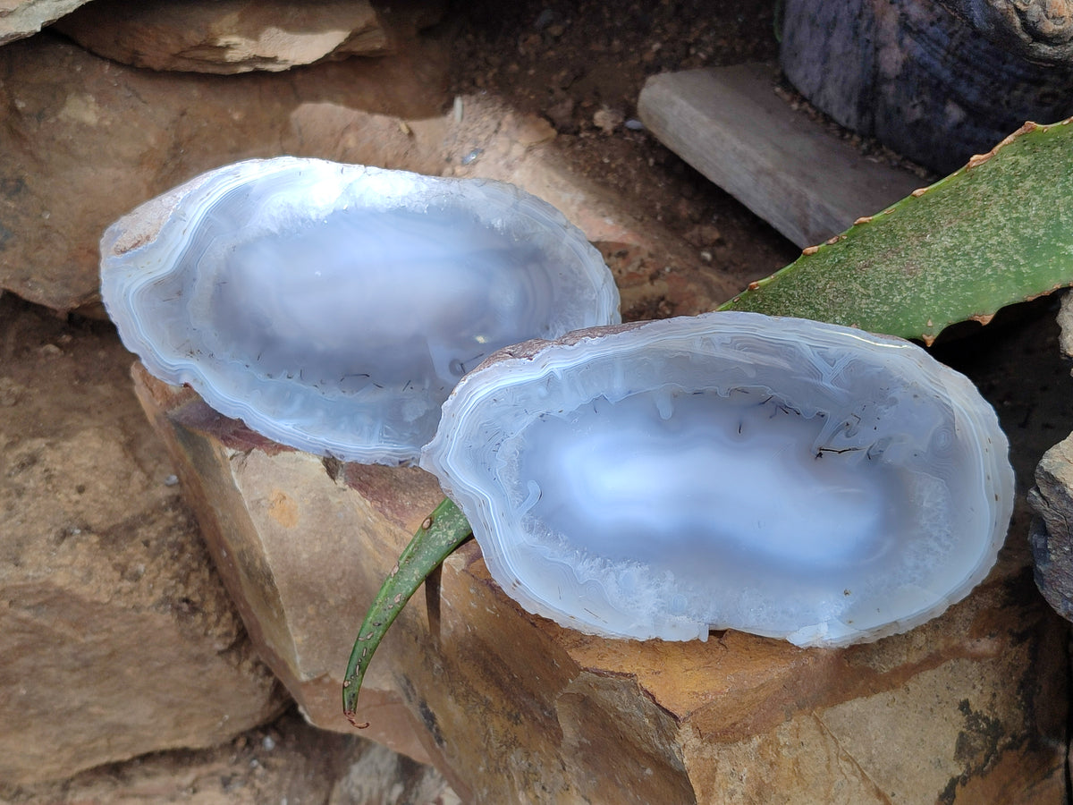 Polished Red Sashe River Agate Pairs x 1 Pair From Zimbabwe - Toprock Gemstones and Minerals 