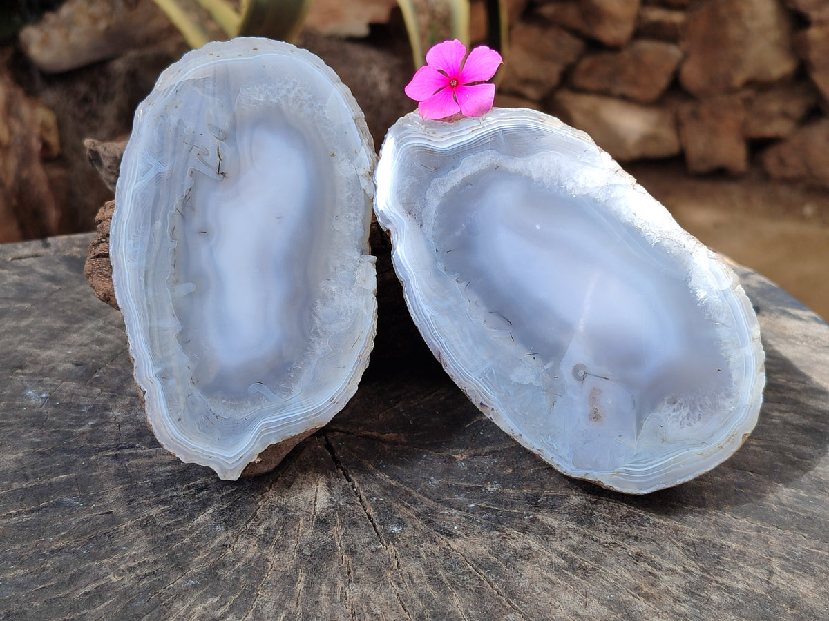 Polished Red Sashe River Agate Pairs x 1 Pair From Zimbabwe - Toprock Gemstones and Minerals 