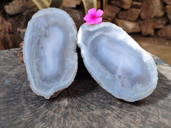 Polished Red Sashe River Agate Pairs x 1 Pair From Zimbabwe