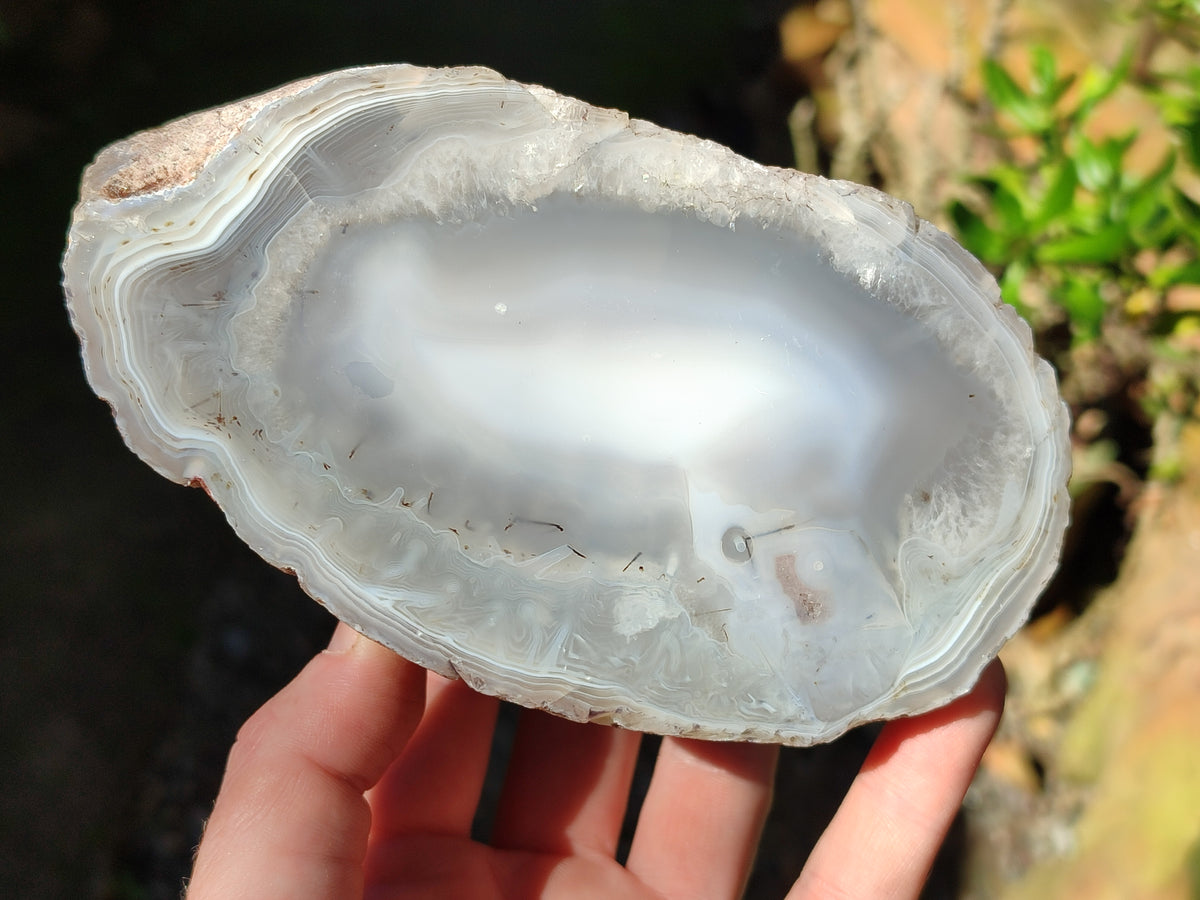 Polished Red Sashe River Agate Pairs x 1 Pair From Zimbabwe - Toprock Gemstones and Minerals 