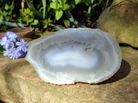Polished Red Sashe River Agate Pairs x 1 Pair From Zimbabwe - Toprock Gemstones and Minerals 