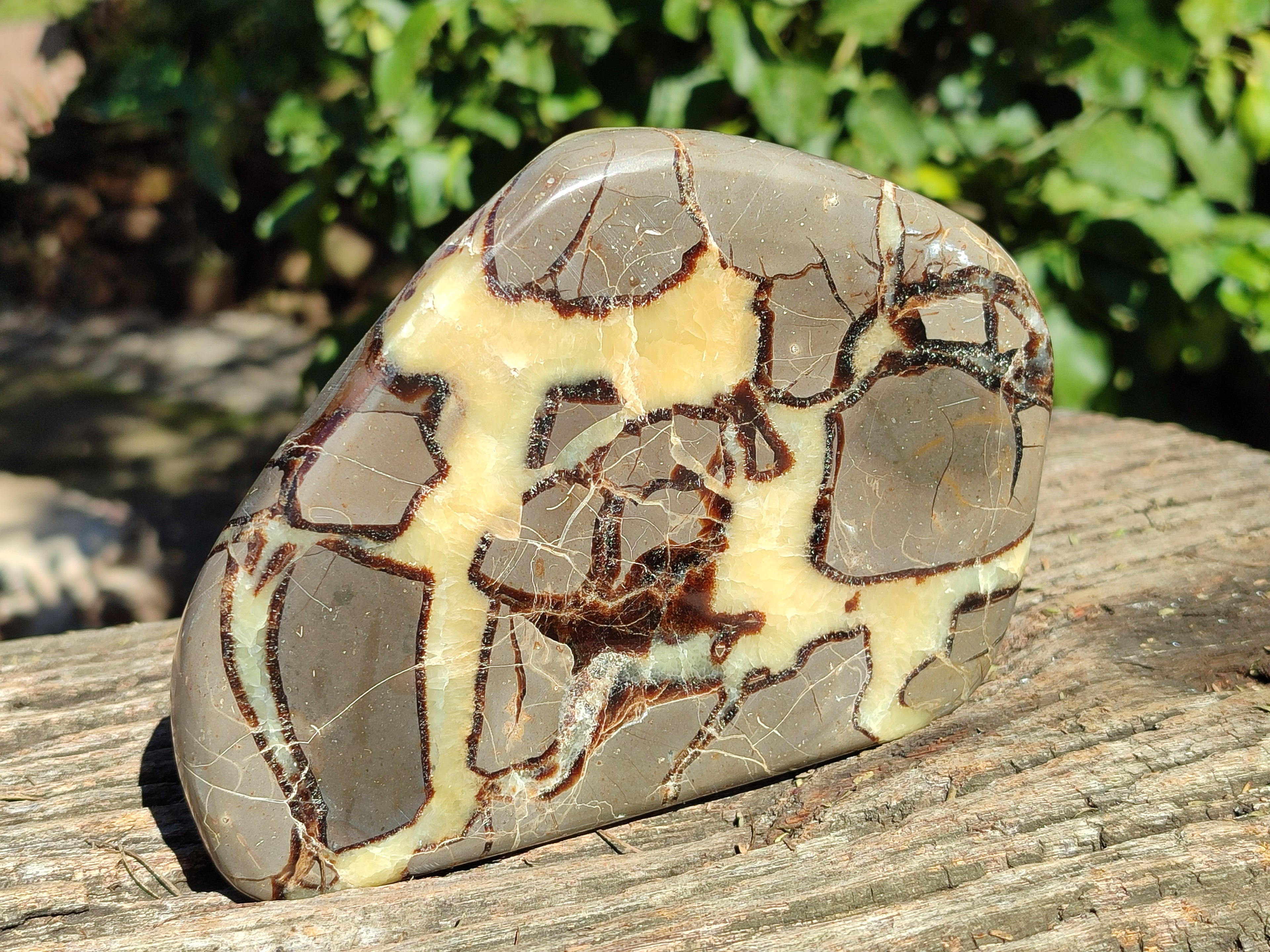 Polished Septerye Slices x 6 From Mahajanga, Madagascar - Toprock Gemstones and Minerals 