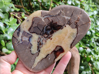 Polished Septerye Slices x 6 From Mahajanga, Madagascar - Toprock Gemstones and Minerals 