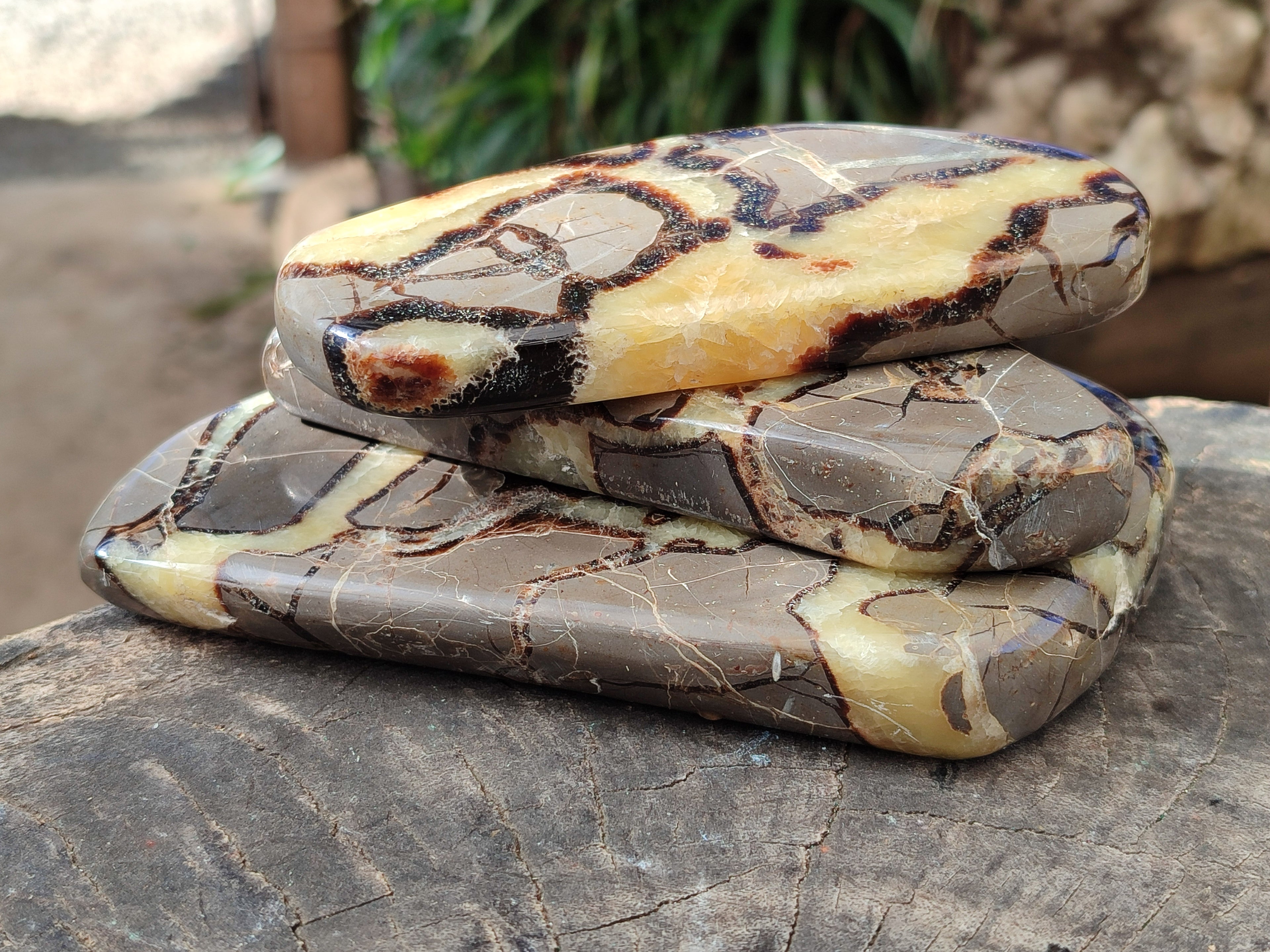 Polished Septerye Slices x 6 From Mahajanga, Madagascar - Toprock Gemstones and Minerals 