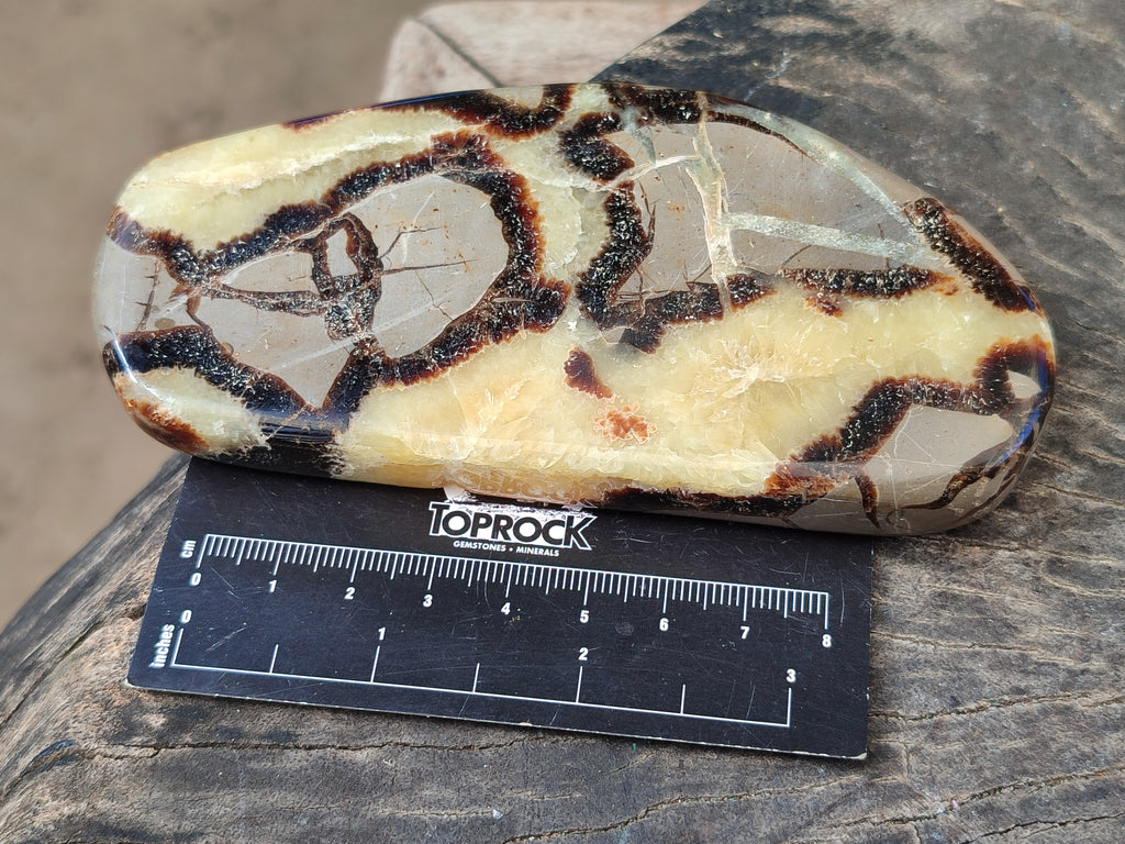 Polished Septerye Slices x 6 From Mahajanga, Madagascar - Toprock Gemstones and Minerals 