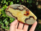Polished Septerye Slices x 6 From Mahajanga, Madagascar - Toprock Gemstones and Minerals 