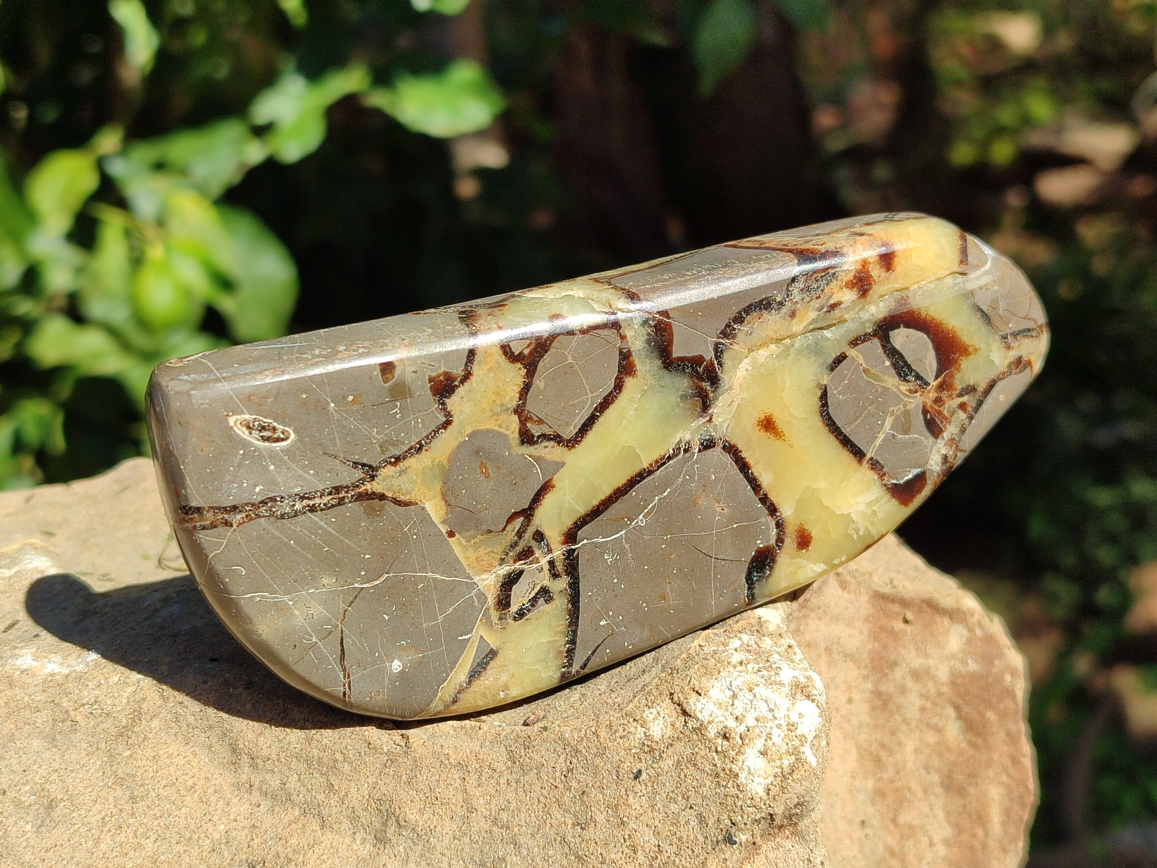 Polished Septerye Slices x 6 From Mahajanga, Madagascar - Toprock Gemstones and Minerals 