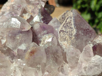Natural Jacaranda Amethyst Quartz Cluster x 1 From Mumbwa, Zambia - Toprock Gemstones and Minerals 