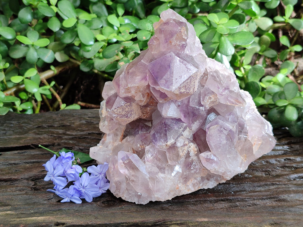 Natural Jacaranda Amethyst Quartz Cluster x 1 From Mumbwa, Zambia - Toprock Gemstones and Minerals 