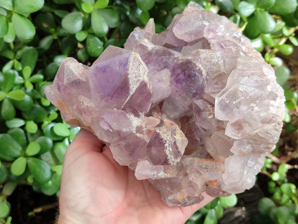 Natural Jacaranda Amethyst Quartz Cluster x 1 From Mumbwa, Zambia - Toprock Gemstones and Minerals 