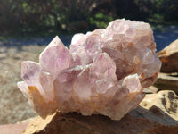 Natural Jacaranda Amethyst Quartz Cluster x 1 From Mumbwa, Zambia - Toprock Gemstones and Minerals 