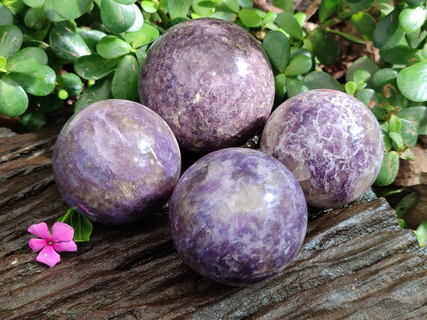 Polished Lepidolite with Pink Rubellite Spheres x 4 From Ambatondrazaka, Madagascar