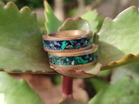 Hand Made Flower Banded Malachite Rings x 12 From Congo