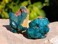 Natural Dioptase on Dolomite Matrix Specimens x 12 From Mashamba East, Congo