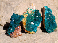 Natural Dioptase on Dolomite Matrix Specimens x 12 From Mashamba East, Congo