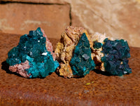 Natural Dioptase on Dolomite Matrix Specimens x 12 From Mashamba East, Congo