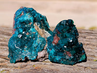 Natural Dioptase on Dolomite Matrix Specimens x 12 From Mashamba East, Congo