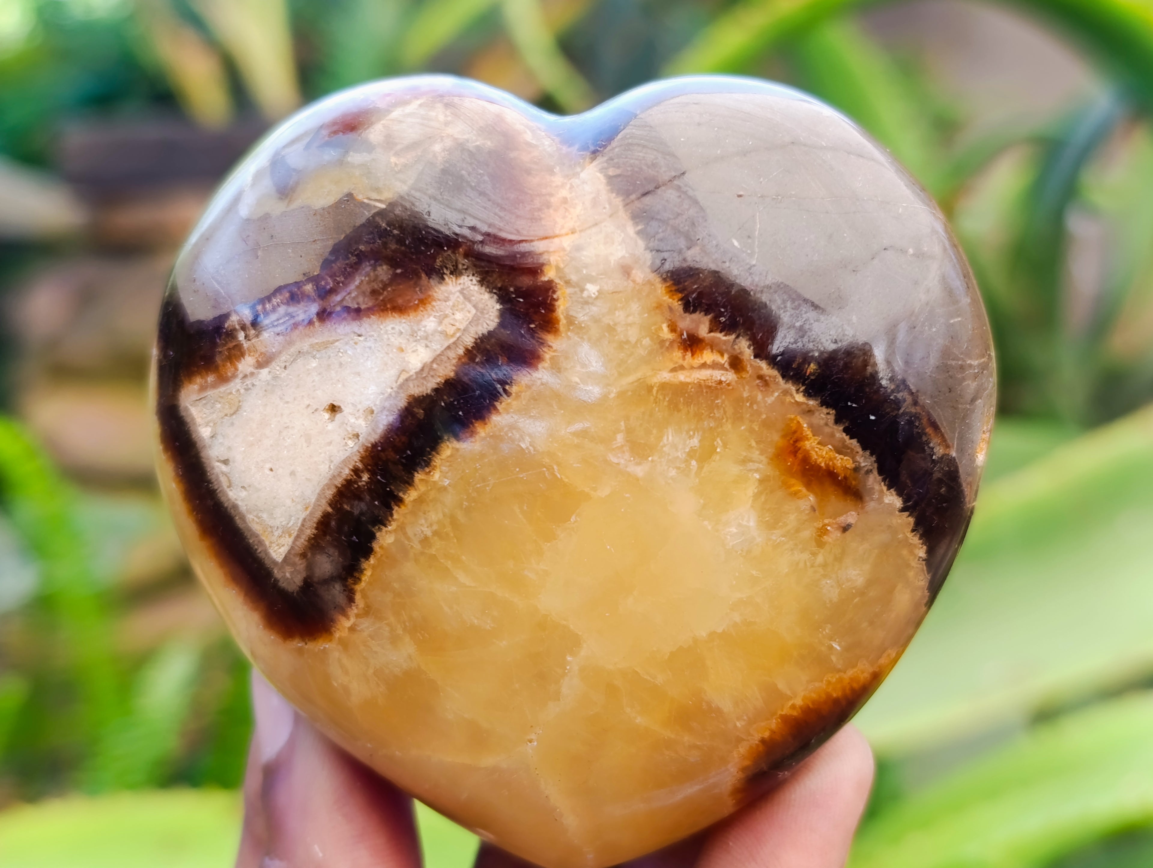 Polished Fossilized Septerye Hearts x 6 From Mahajanga, Madagascar - Toprock Gemstones and Minerals 