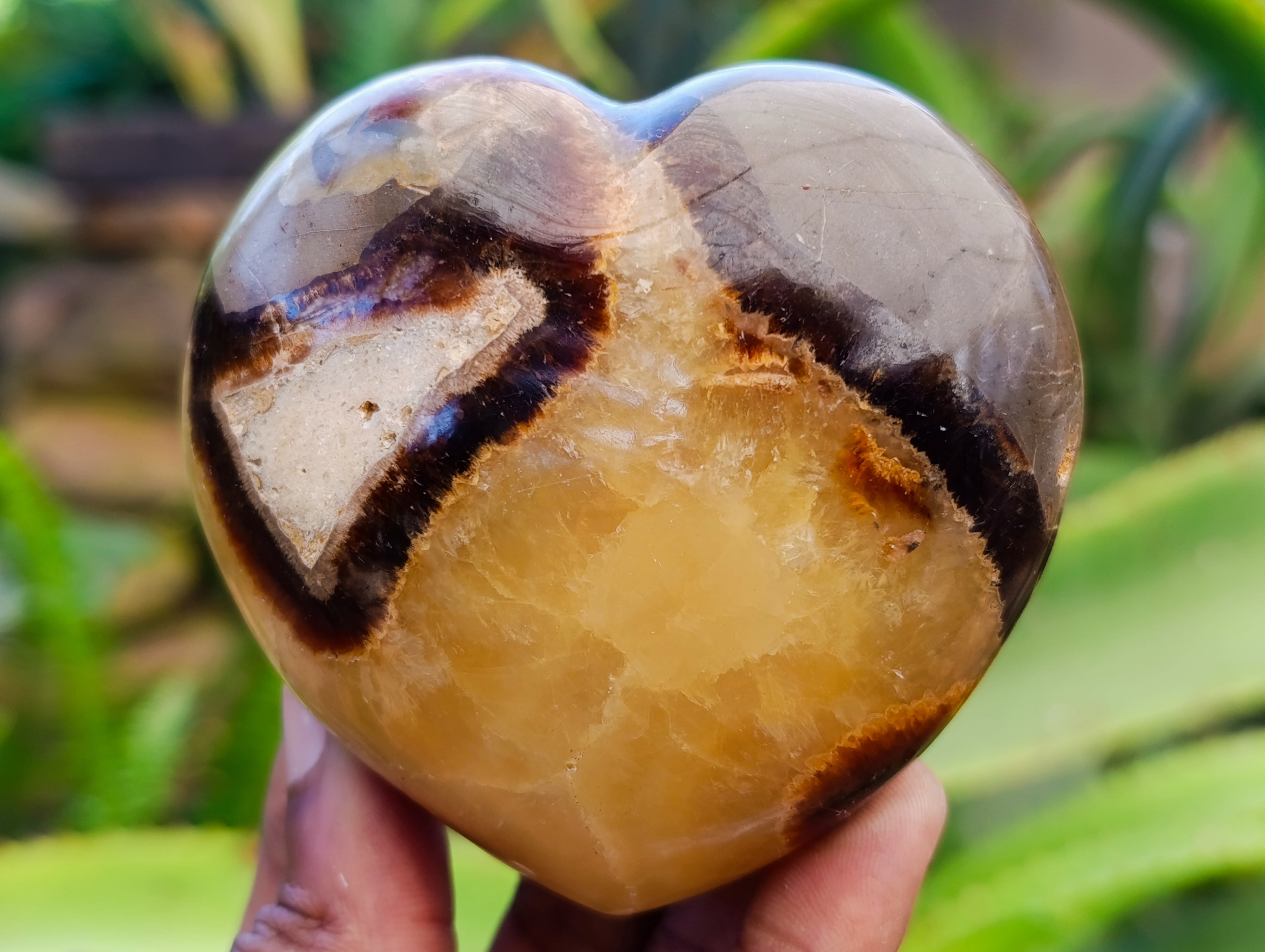 Polished Fossilized Septerye Hearts x 6 From Mahajanga, Madagascar - Toprock Gemstones and Minerals 