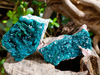 Natural Dioptase with Crystalline Malachite on Dolomite Matrix Specimens x 3 From Mashamba East, Congo