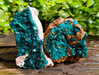 Natural Dioptase with Crystalline Malachite on Dolomite Matrix Specimens x 3 From Mashamba East, Congo