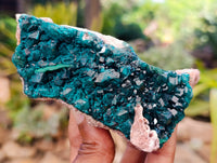Natural Dioptase with Crystalline Malachite on Dolomite Matrix Specimens x 3 From Mashamba East, Congo
