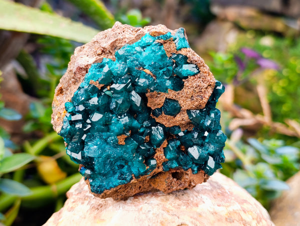 Natural Dioptase with Crystalline Malachite on Dolomite Matrix Specimens x 3 From Mashamba East, Congo