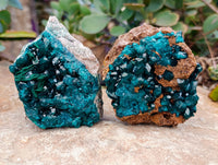 Natural Dioptase with Crystalline Malachite on Dolomite Matrix Specimens x 3 From Mashamba East, Congo