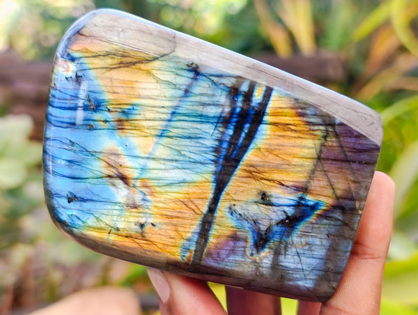 Polished Labradorite Standing Free Forms x 3 From Tulear, Madagascar