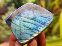 Polished Labradorite Standing Free Forms x 3 From Tulear, Madagascar