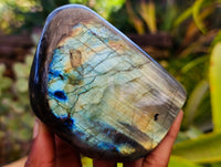 Polished Labradorite Standing Free Forms x 3 From Tulear, Madagascar