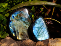 Polished Labradorite Standing Free Forms x 3 From Tulear, Madagascar