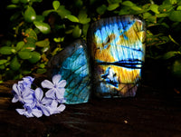 Polished Labradorite Standing Free Forms x 3 From Tulear, Madagascar