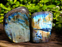 Polished Labradorite Standing Free Forms x 3 From Tulear, Madagascar