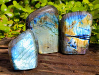 Polished Labradorite Standing Free Forms x 3 From Tulear, Madagascar