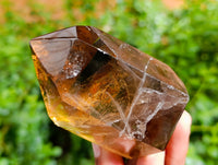 Polished Mixed Inclusion Quartz Crystals Including Citrine x 6 from Madagascar