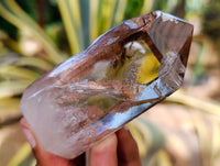 Polished Mixed Inclusion Quartz Crystals Including Citrine x 6 from Madagascar