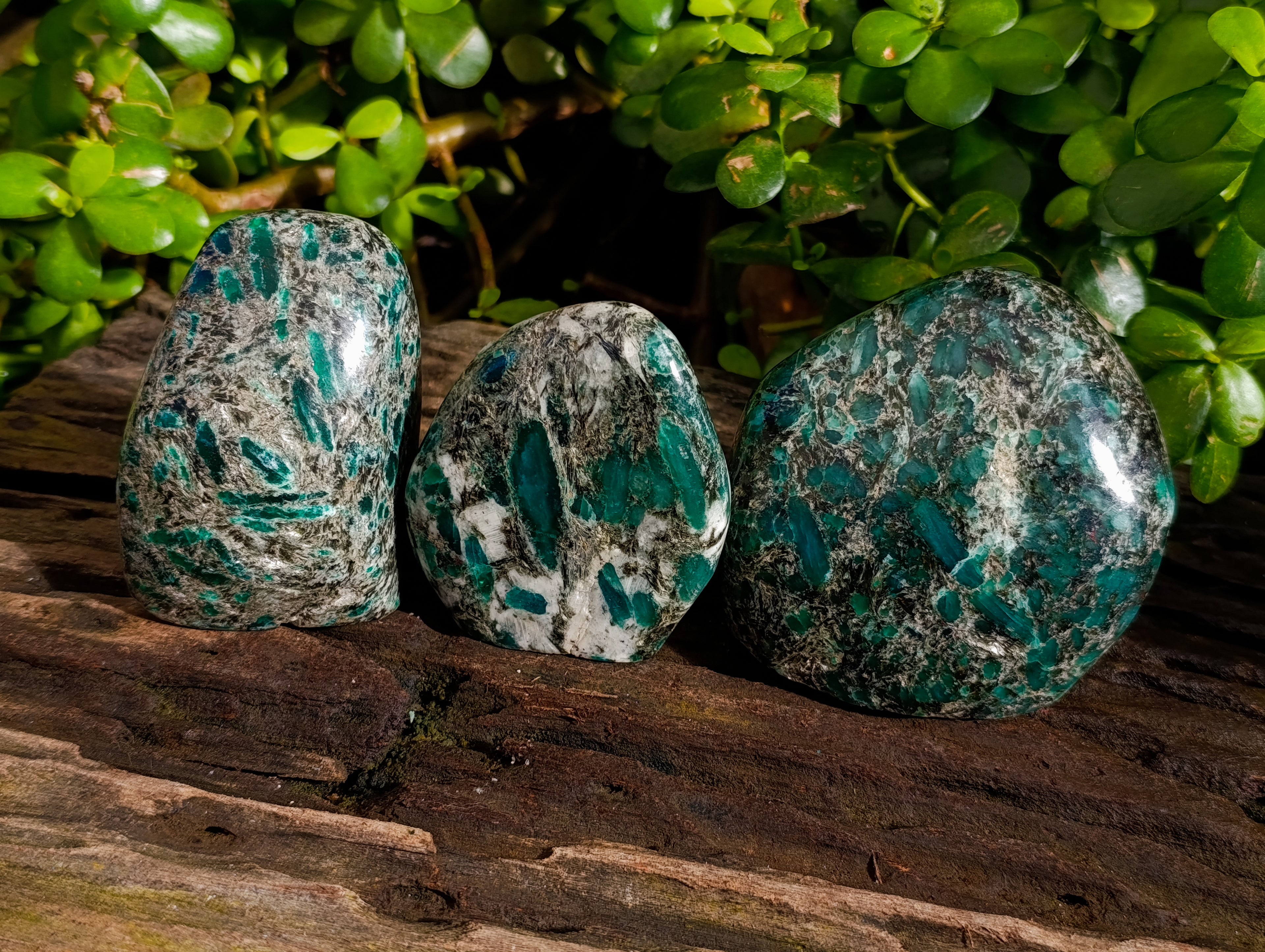 Polished Emerald Mica In Matrix Standing Free Forms x 3 From Mutoko, Zimbabwe - Toprock Gemstones and Minerals 