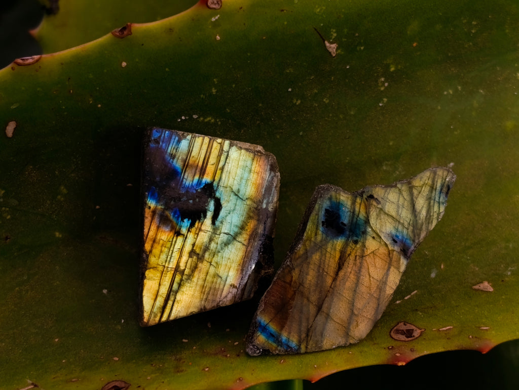 Polished On One Side Labradorite Plates x 70 From Tulear, Madagascar - Toprock Gemstones and Minerals 