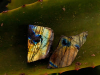 Polished On One Side Labradorite Plates x 70 From Tulear, Madagascar