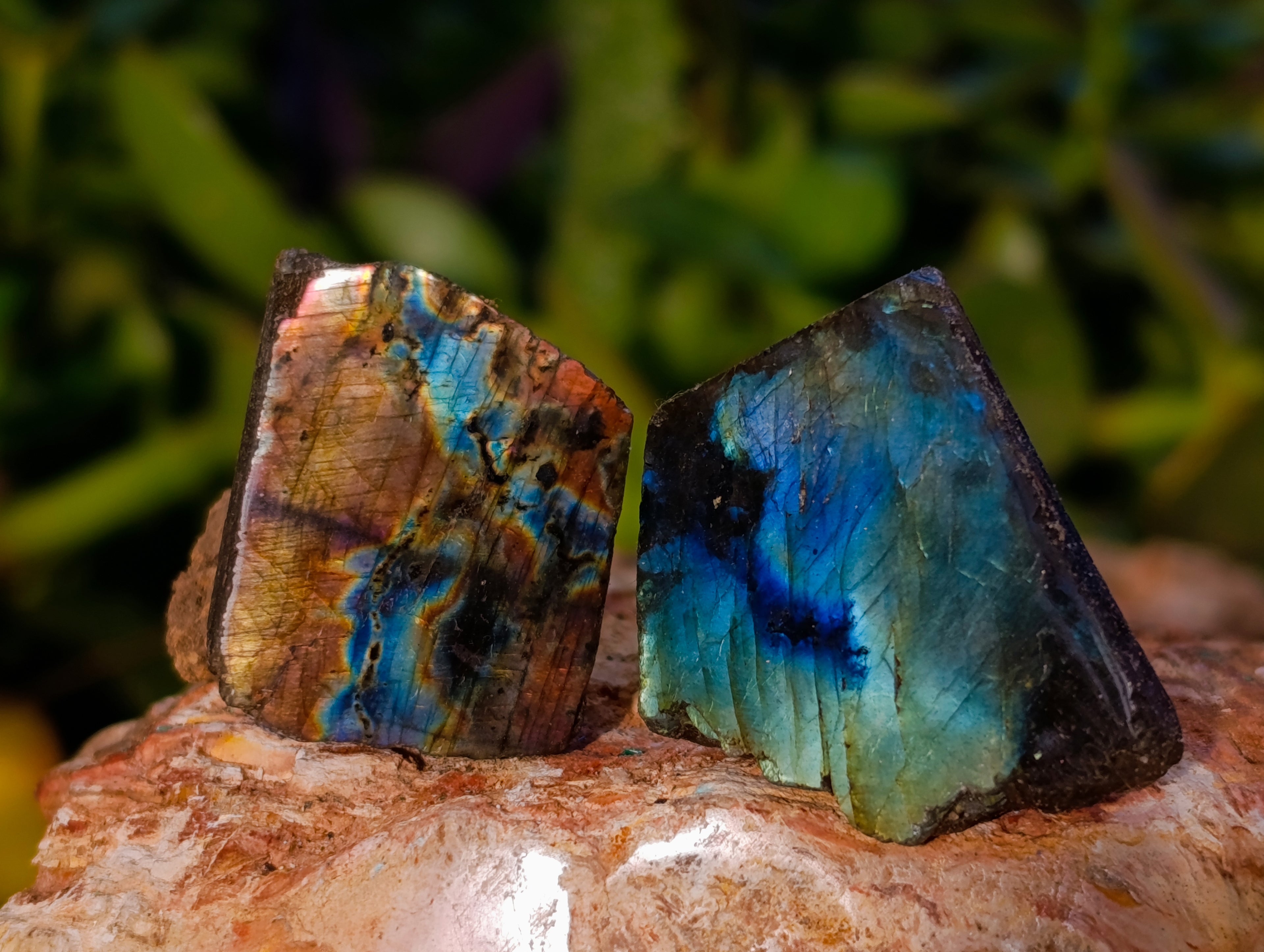Polished On One Side Labradorite Plates x 70 From Tulear, Madagascar - Toprock Gemstones and Minerals 