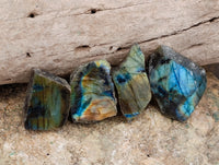 Polished On One Side Labradorite Plates x 70 From Tulear, Madagascar