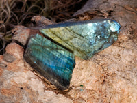 Polished On One Side Labradorite Plates x 70 From Tulear, Madagascar