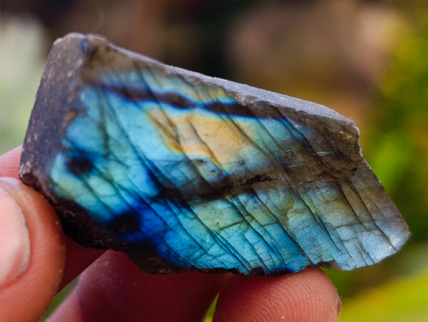 Polished On One Side Labradorite Plates x 70 From Tulear, Madagascar