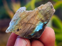 Polished On One Side Labradorite Plates x 70 From Tulear, Madagascar