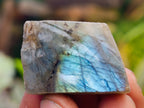 Polished On One Side Labradorite Plates x 70 From Tulear, Madagascar - Toprock Gemstones and Minerals 